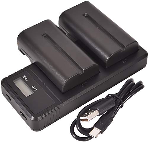 Batterie NP-F550 DSTE pack de 2 et chargeur LCD double pour caméscopes Sony CCD