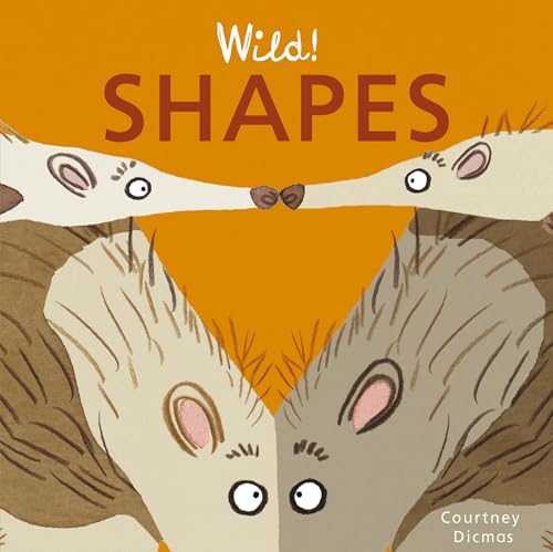 Shapes: 4 (Wild! Concepts, 4)