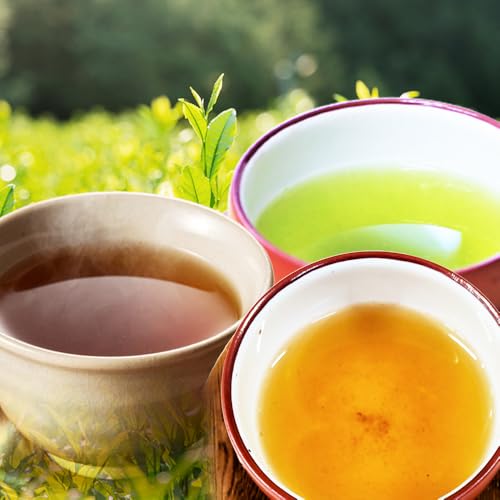 八女茶ティーパック 3点セット こがしティー 水出し煎茶 水出しほうじ茶 計3袋 焦がし商品 くき茶 ティーパック 3種 詰め合わせ ほうじ茶 煎茶 八女茶 九州