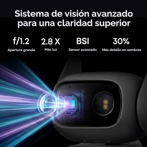 C31, foto 3