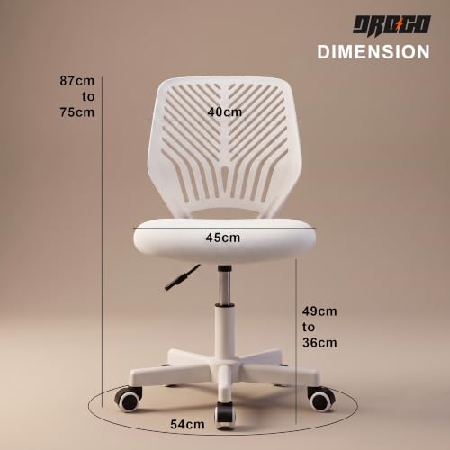 Image of DROGO Nova Ergonomic Office Chair, Armless Mesh Desk Chair with Breathable Backrest & Height Adjustable Seat, Soft Cushioned Computer Chair for Home, Study & Bedroom, 1 Year Warranty (White)