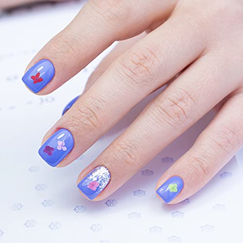 SEWACC 9 Caixas De Sabão Em Flocos Cosmético Brilho Olhos Flores Arte Para Kit Fazer Vela Manicure M