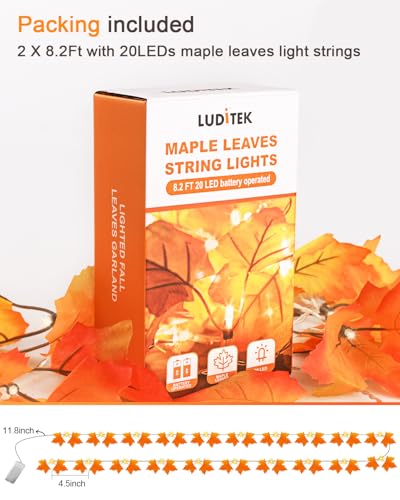 Fall Decor 2 Pack Lighted Fall Garland, Total 16.4ft 40 LED Thanksgiving Decorations Halloween String Lights, Friendsgiving Gift Thanksgiving Decor for Home Holiday Autumn Garland Indoor