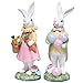 Hodao Easter Bunny Decoration Spring Rabbit Decor Gifts Handcrafted Resin Figurines Colorful and Charming Spring Decor for Home, and Holiday Celebrations (Set of 2) (White)