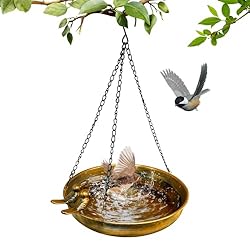 Comedero pajaros Exterior Colgante, Bebedero pajar...: Material duradero: La bañera de pájaros colgante está hecha de material de hierro forjado duradero, tiene una estructura sólida y buena resistencia a la intemperie, no es fácil de oxidar, romper o romper, y puede mantener su belleza durante mucho tie...
