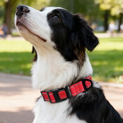 Image of Taglory Reflective Dog Collar for Medium Dogs, Soft and Safe for Daily Walk