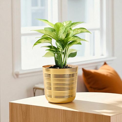 Image of Gold Ribbed Metal Planter Pot for Indoor Living Room Tabletop Decorative Flower Planter Pot for Home Decoration and Gifting (5 inch Height)