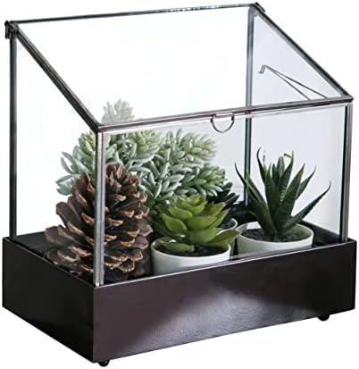 Vellon Large Glass Plant Terrarium for Fern Moss Foliage Succulent Bonsai Air Plants, Indoor Greenhouse, Black, 9.1 x 5.75 x 10.8”
