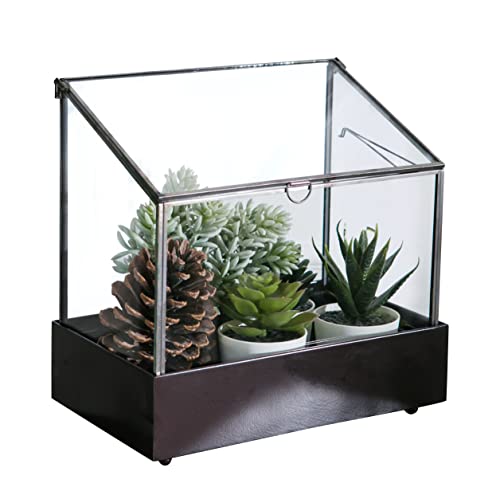 Vellon Large Glass Plant Terrarium For Fern Moss Foliage Succulent Bonsai Air Plants, Indoor Greenhouse, Black, 9.1 X 5.75 X 10.8” #TOP3