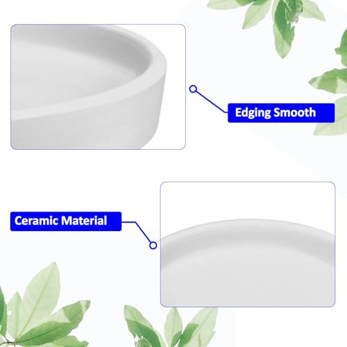 M METERXITY 3 Pack Planter Saucers - Ceramic Plant Tray Flower Pot Drip Trays Round Apply to Outdoor/Garden (4/5/6inch, White) - Image 4
