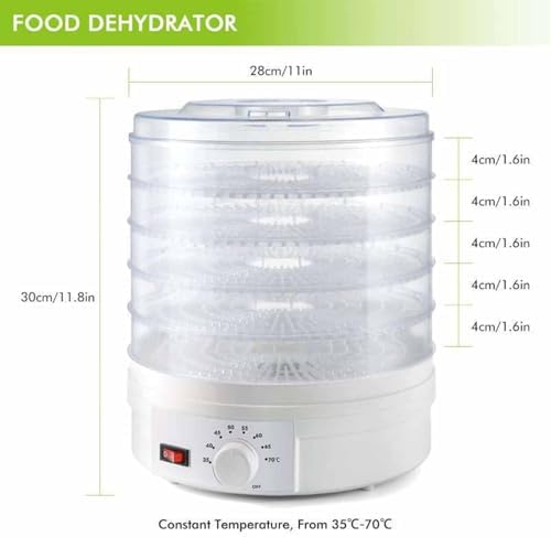 Small Transparent Food Grade Dehydrator - 110V Air Dryer for Fruits, Vegetables, Pet Meat, and Snacks - 360° Cyclic Heating for Home Use and Food Processing