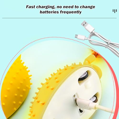 Jouet interactif à distance pour chat avec son rechargeable chien - 5