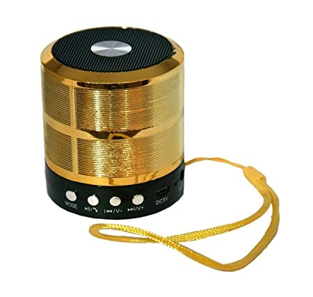 WS-887 Wireless Bluetooth Outdoor Speaker(Gold) : Amazon.in: Electronics