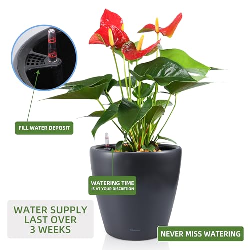 Dexceder-13×12-Self-Watering-Planter-with-Wheels-Indoor-Outdoor-Inner-Pot-Design-Thickened-Large-Floor-Standing-Flower-Plant-Pot-with-Water-Level-Indicator-Slate-Gray-Matte Dexceder 13×12 Self Watering Planter with Wheels Indoor Outdoor Inner Pot Design Thickened Large Floor Standing Flower Plant Pot with Water Level Indicator Slate Gray Matte