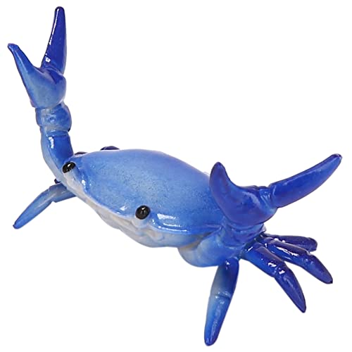 Labizen VnIȂ킢Jjyz_[dʋJjyz_[uPbg[bNMtgXe[Vi[u[