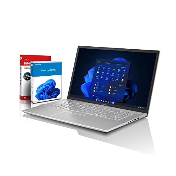 ASUS Intel Quad SSD (17,3 Zoll HD++) Notebook (Intel® Pentium® Silver Quad N5000 mit 2.70 GHz, 8GB DDR4, 512 GB SSD…
