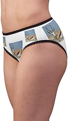 Springbok Panties, Springbok Underwear, Briefs, Cotton Briefs, Funny Underwear, Panties For Women