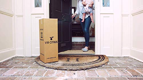 Meyer Lemon Citrus Plant No Shipping To Ca, Az, Tx #TOP2