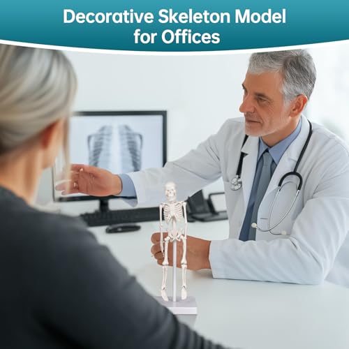 Image of Mini Skeleton Model, 7.8 inch Small Anatomy Skeleton Figure, Movable Arms and Legs, Human Body Model with Base, Human Bones for Teaching Tool, Decoration