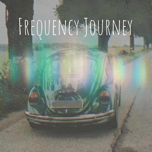 Couverture de Frequency Journey