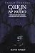 Pagan Portals - Gwyn ap Nudd: Wild God of Faery, Guardian of Annwfn