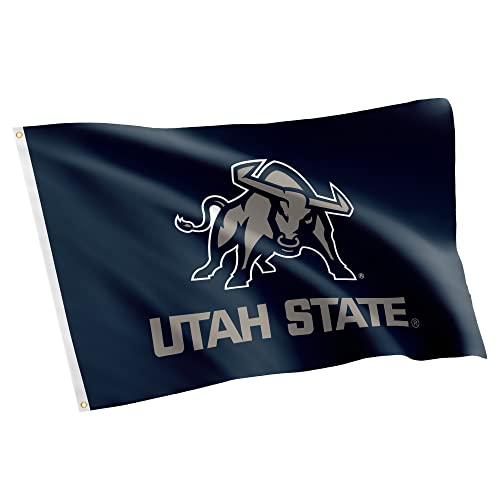 Desert Cactus Utah State University USU Flag - 3 x 5 Feet Aggies Banner, Indoor/Outdoor Durable Fabric, 100% Polyester Design (Style 1)