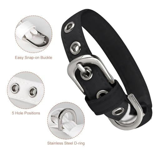 Collier pour chien style classique noir avec boucle métallique - 4