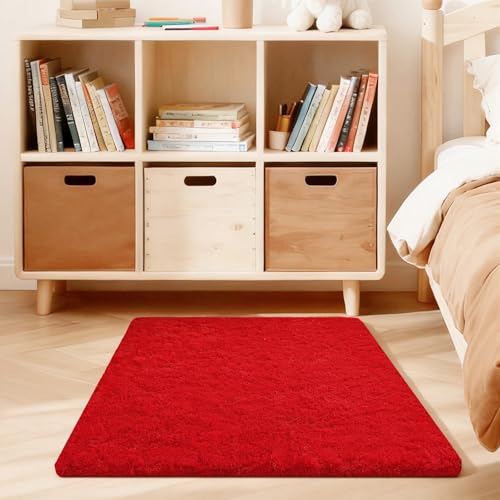 Ehayx Red Rugs for Bedroom, 3x5 Fluffy Area Rugs for