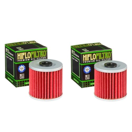 DB PARTS 2 Stück Ölfilter passend für Kawasaki 300 KEF B Lakota Sport 1995 1996 1997 1998 1999 2000 2001 2002 2003