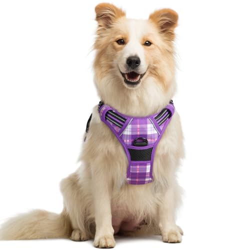 Image of rabbitgoo Dog Harness No Pull with 2 Leash Clips, Adjustable Soft Padded, Reflective Oxford No Choke Pet Vest with Easy Control Handle for Medium Sized Dogs, Purple Plaid, M