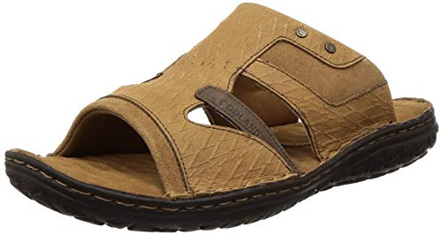 Woodland Mens 3349119 Cashew Leather Slipper-6 UK (40 EU) (OGP 3349119CASHEW Brown) (B081LPHFXF) Amazon Price History, Amazon Price Tracker