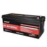 Dumfume LiFePO4 Batteria al Litio 24V 100Ah, BMS 100A Integrato, Potenza Uscita 2560W, Fino a 15.000 Cicli, Ideale per Camper, Energia Solare, Gruppo di Continuità