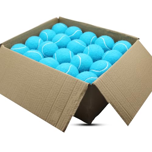 SHYUJAJIE Tennis Balls 40 Pack Training Tennis Balls High Elasticity Practice Tennis for Beginner Exercise Playing Balls for Pet Dog (Light Blue)