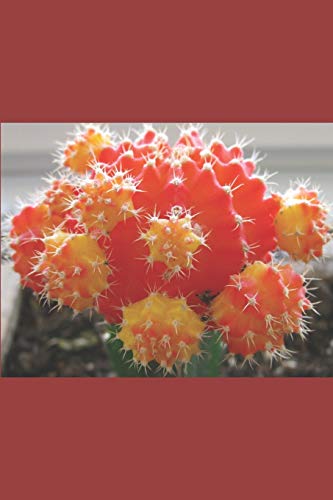 B'ajlom ii Nkotz'i'j Publications' Classical & Modern Nahuatl Phrasebook: Ideal for Traveling throughout Central MÃ©xico (B'ajlom ii Nkotz'i'j Publications' Phrasebooks)