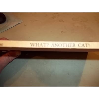 What? Another cat!