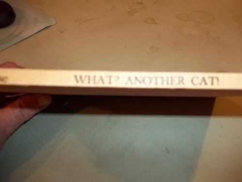 What? Another cat! B0007E1SL4 Book Cover