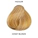 L'OREAL TECHNIQUE HiColor Browns & Blondes Permanent Hair Color - Lifts Dark Hair in One Step Leaving No Brassiness, Rich and Smooth Creme Formula, Intense & Long-Lasting, H16 Honey Blonde