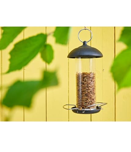 Dehner Natura Premium Wildvogelfutter, Wildvogelsnack, Getrocknete Mehlwürmer, Ganzjahresfutter proteinreich, hochwertiges Vogelfutter für Wildvögel, 500 g