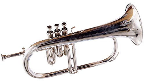 Flugelhorn Chrome Bb Pitch W Hardcase Mp Fluglehorn Silver #TOP6