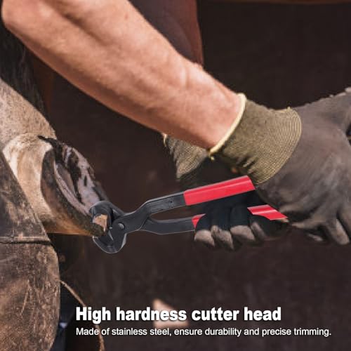 Aço Inoxidável Nipper, Mandíbula Em Forma de V para Corte de Casca de Cavalo de Ovelha de Gado Com A