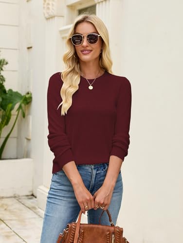 Image of Libsorge Womens Cute Crewneck Ribbed Knit Lightweight Thin Sheer Long Sleeve Sweater T Shirt Top Spring 2025