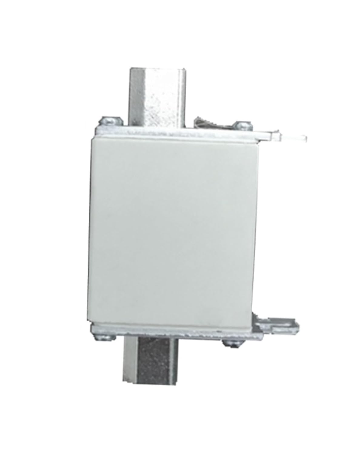 スズキコレダスポーツ 65cc