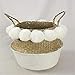 CYGGL Natural Seagrass Decorativo Vintage Canasta de Almacenamiento con Mango Lavandería Sembradora de Vientre Pom Pom Nursery Home Juguetes Plegable,White