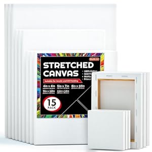 Shuttle Art 15 Keilrahmen Leinwand Set