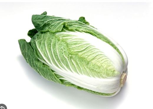 Aspen® Chinese Cabbage/Cabbage/Brassica Oleracea/Bok Choy - 30 Seeds (6N-WT0M-3MQV_Baz)-image-19