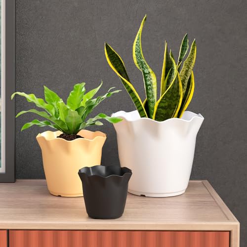 Image of YUCCABE ITALIA SHERA Flower Plastic Flower Pot Unbreakable Round Shape Planter with Drainage Holes Planter Suitable for Home Garden Seedling Indoor and Outdoor (Grey, 4 INCH - 12 Pcs)
