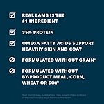 Amazon-Brand-Wag-Dry-Dog-Food-Lamb-Lentil-Recipe-4-lb-Bag