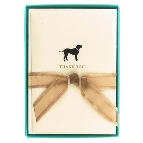 Image of Graphique La Petite Presse Boxed Blank Thank You Cards - Black Lab with Gold Foil - Perfect Thank Yous for Gifts, Weddings, Bridal Showers, and More - Pack of 10 Cards with Envelopes (3.25 x 4.75 inch)