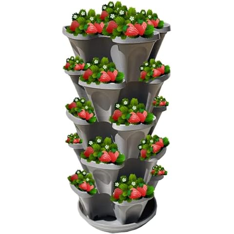 5-Tier Stackable Strawberry Garden Cover