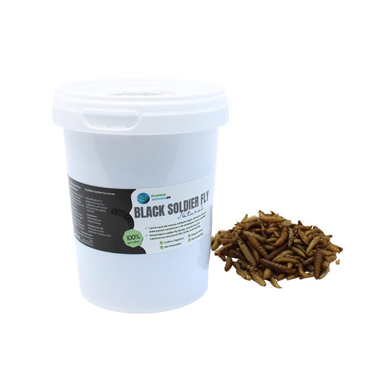 Larva Black Soldier Fly Piante Acquario 500 ml, Cibo a base di insetti 100% naturale per pesci, pollame e rettili Ricco di proteine e vitamine